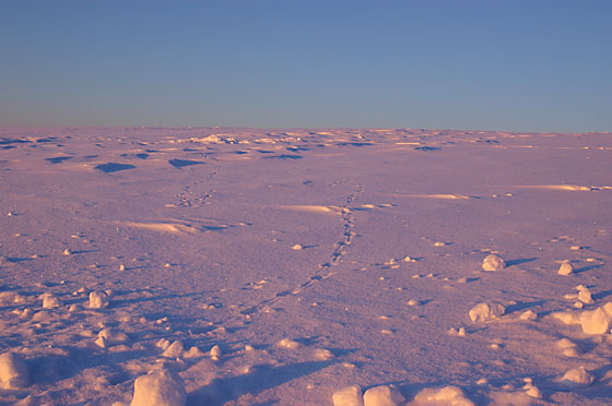 e0025030_1793181.jpg