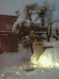 c0050232_16535652.jpg