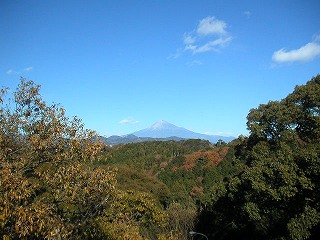 f0007638_3192493.jpg