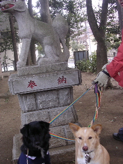 c0065643_18294890.jpg