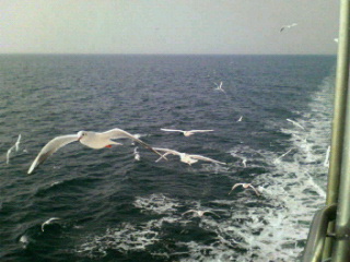 a0045845_9293564.jpg