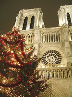 c0024345_393993.jpg