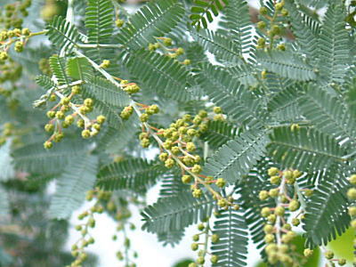 d0034988_2354654.jpg