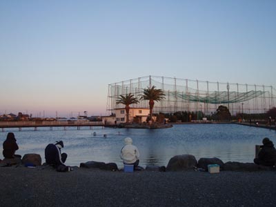 a0043395_2071854.jpg