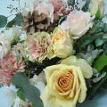 c0017505_14171521.jpg