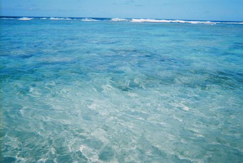 a0000014_2182499.jpg