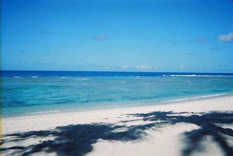 a0000014_2184942.jpg