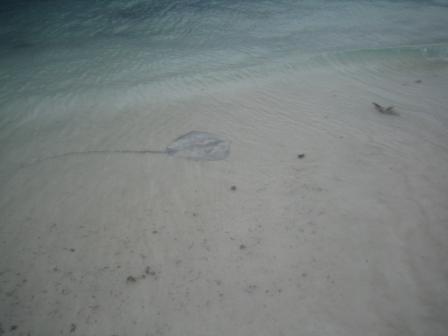e0063923_2111458.jpg