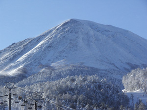 a0049226_0322986.jpg