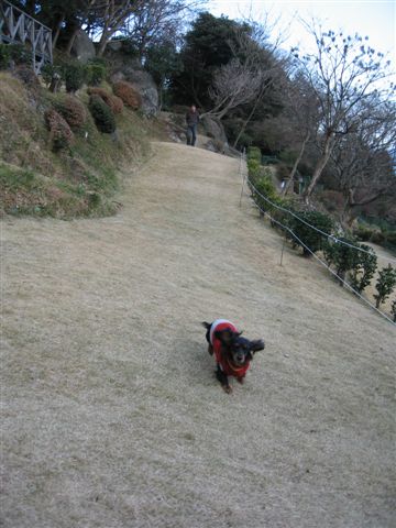 f0002532_1215635.jpg