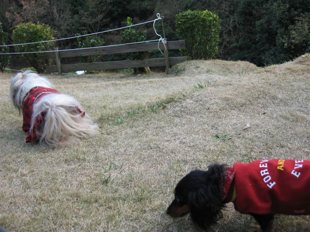 f0002532_1217896.jpg