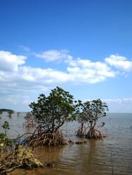e0066369_0192344.jpg
