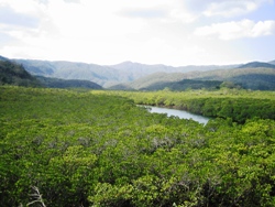 e0066369_0194085.jpg