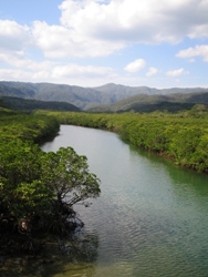 e0066369_06665.jpg