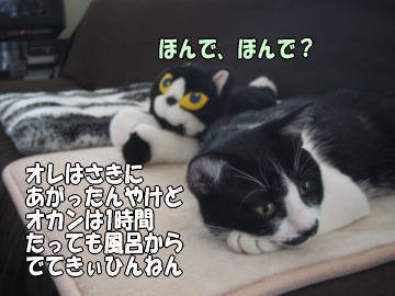 b0041182_13231431.jpg