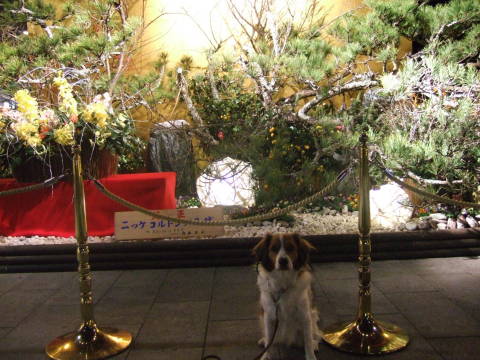 c0075585_0423750.jpg