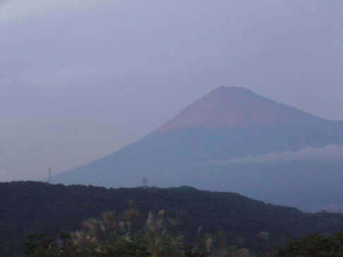 f0029393_945045.jpg