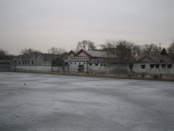 b0009106_1416588.jpg