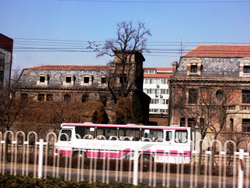b0009106_1545332.jpg