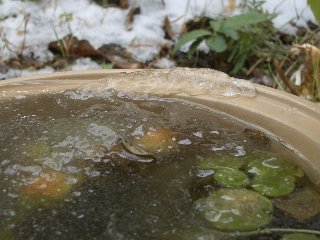 b0061107_189864.jpg