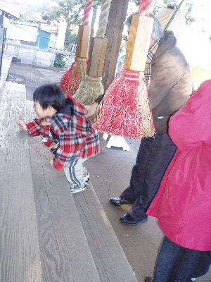e0065031_1826778.jpg