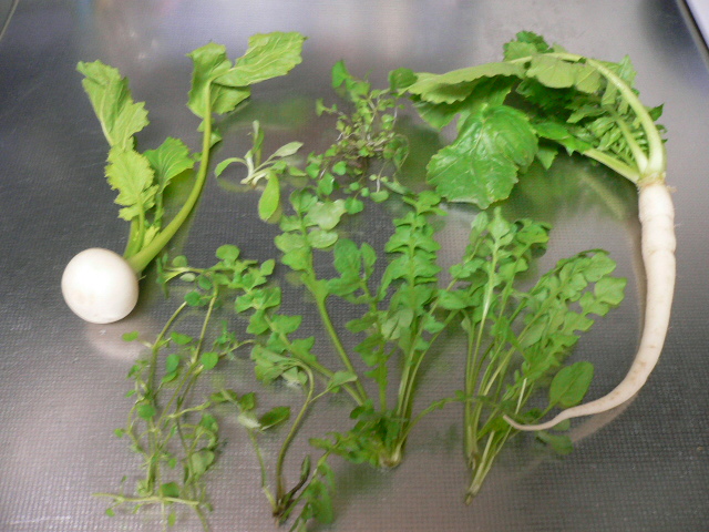 a0057238_2319918.jpg