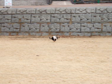 e0088654_21321250.jpg
