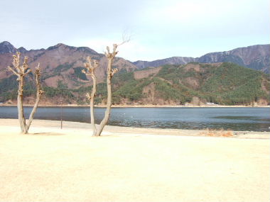 e0088654_21401380.jpg