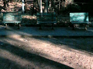 e0083359_1923238.jpg