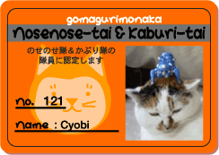 a0064067_044292.gif
