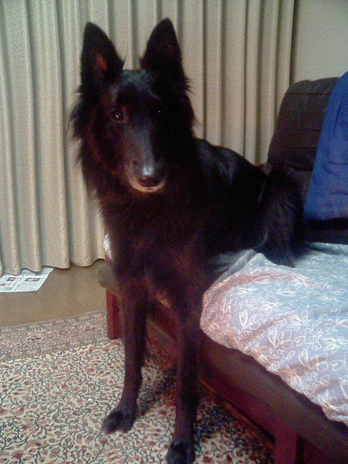 c0052779_21554031.jpg