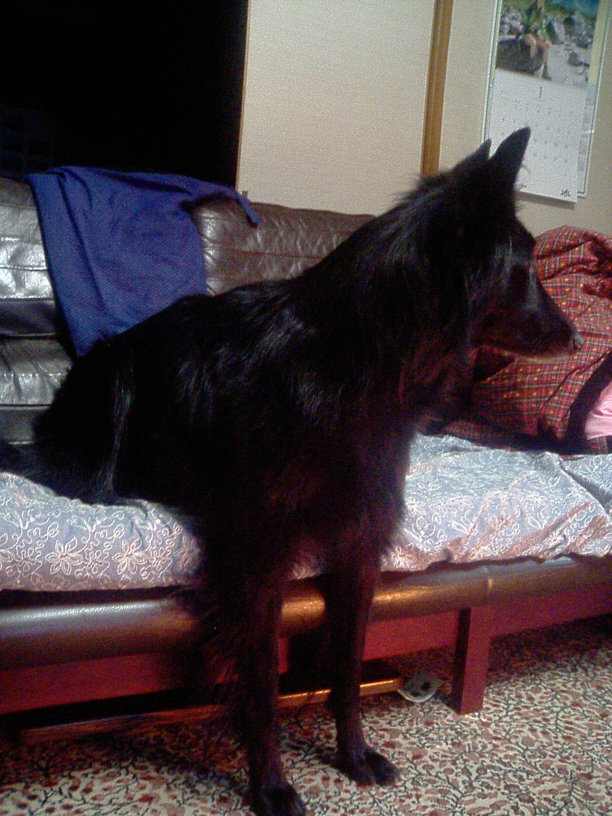 c0052779_21561747.jpg