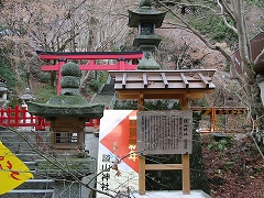 b0042882_1253128.jpg