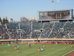 e0033384_22411688.jpg