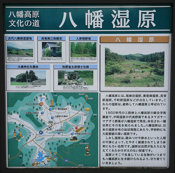 c0038290_11435829.jpg