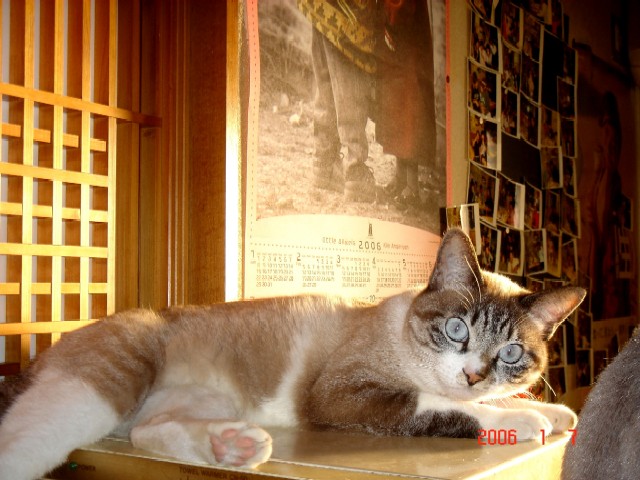 a0005691_1685491.jpg