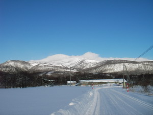 a0043193_201284.jpg