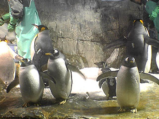 a0019094_1491434.jpg