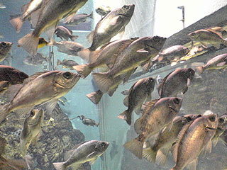 a0019094_1492357.jpg