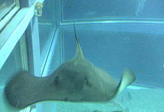 a0019094_1493319.jpg
