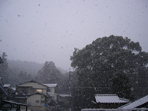 f0006899_2133293.jpg