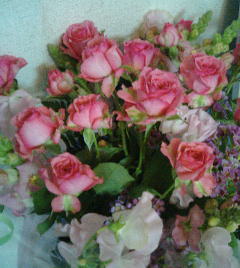 c0017505_15234100.jpg