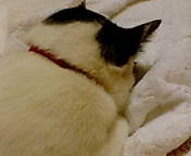 c0055305_1059557.jpg