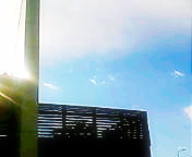 c0055305_2258783.jpg