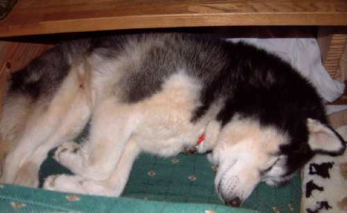 e0001110_8161719.jpg
