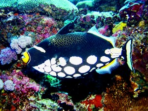 b0044726_1240955.jpg