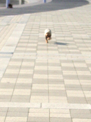 d0017632_19291424.jpg