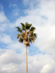 d0017632_19391981.jpg