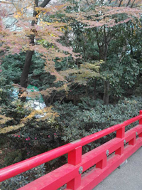 b0035734_16572835.jpg