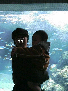 a0009835_22565319.jpg